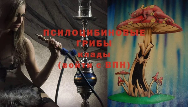 ALPHA-PVP Горнозаводск