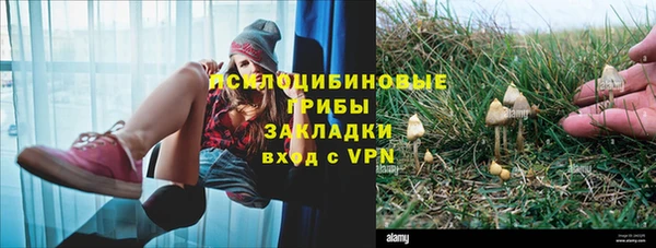 дмт Горняк