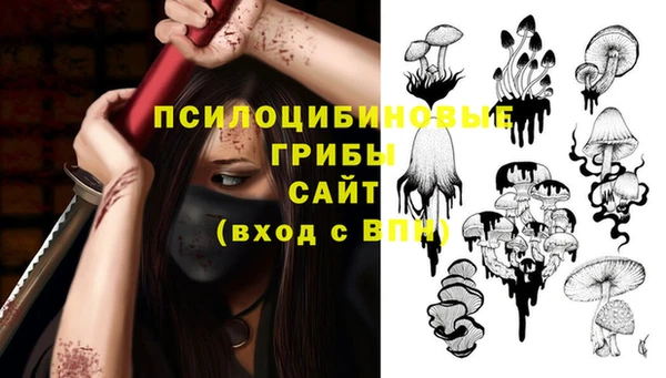 мескалин Гусев