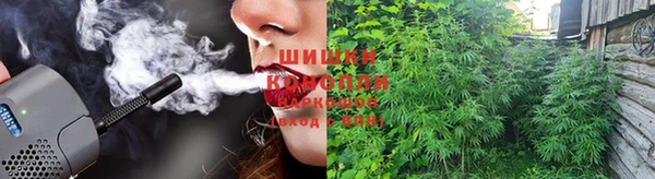 дмт Горняк